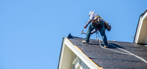 Best Storm Damage Roof Repair  in Morton, MS